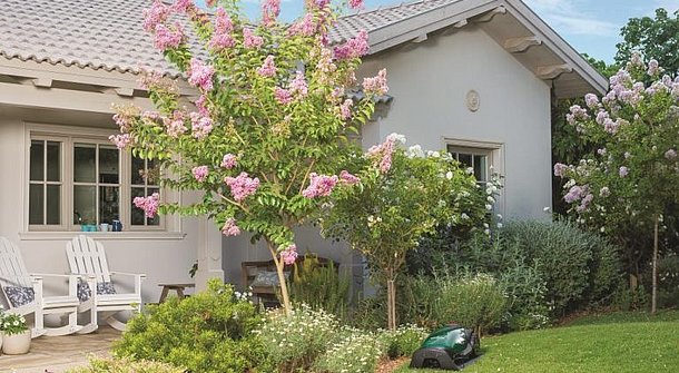 Tipps für die perfekte Gartenplanung