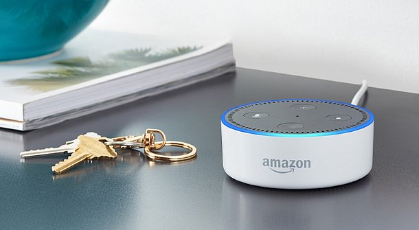 Alexa Skills im Garten nutzen