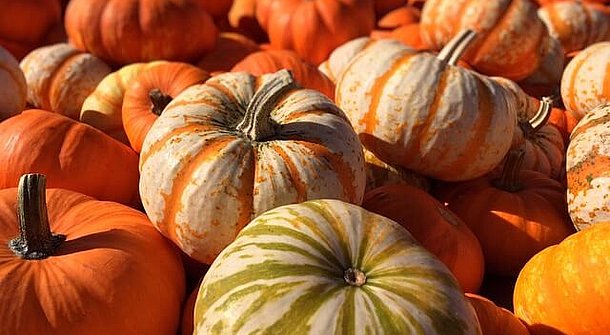 Den Garten zu Halloween in Szene setzen