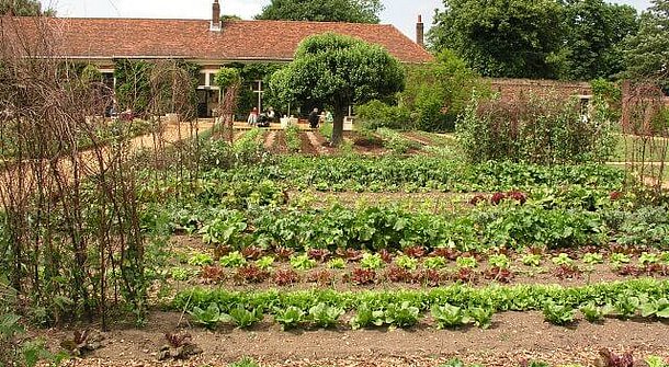 Mondkalender - Gärtnern nach dem Mond