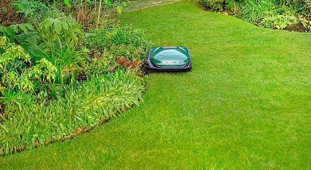 Can the robotic lawnmower cut tall grass?