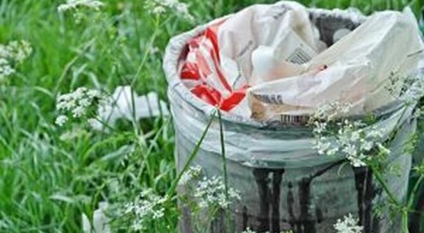 Recycling-Tipps für einen grüneren Garten
