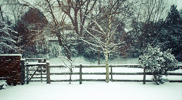 Tipps zum Überwintern des Mähroboters