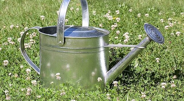 Kostbares Wasser sparen mit der Bewässerung durch Regenwasser