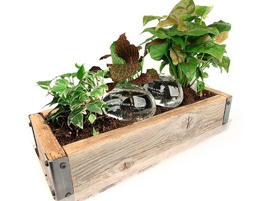 Gärten von heute: Die besten Selbstbewässerungssysteme für Ihren Garten während der Urlaubszeit