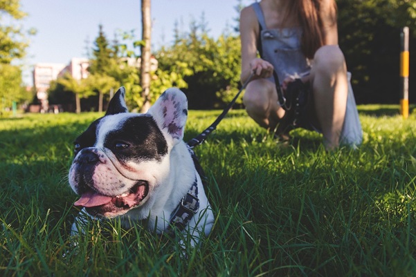 lawn maintenance calendar 